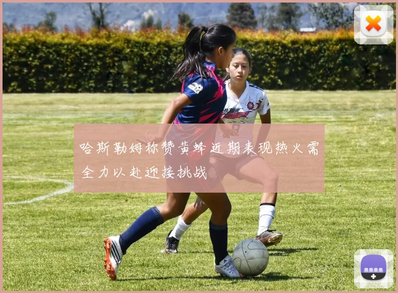 哈斯勒姆称赞黄蜂近期表现热火需全力以赴迎接挑战