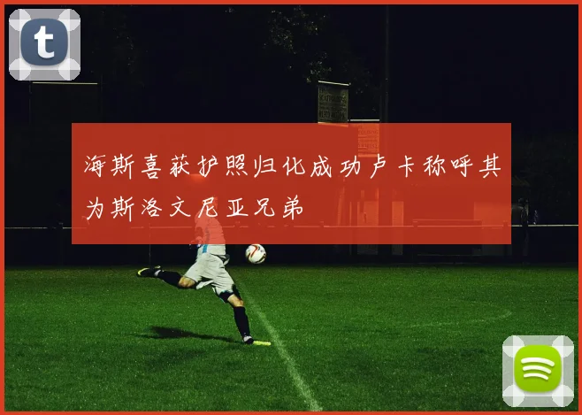 海斯喜获护照归化成功卢卡称呼其为斯洛文尼亚兄弟