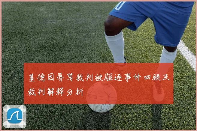 基德因辱骂裁判被驱逐事件回顾及裁判解释分析